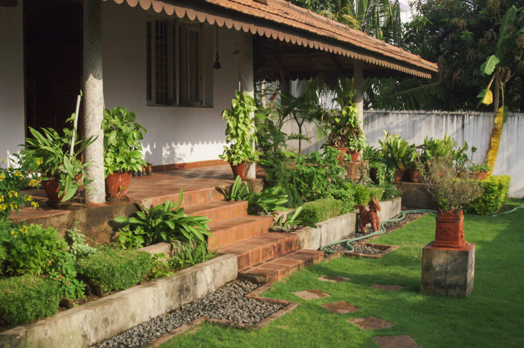 Começar a montar um jardim é sempre um desafio, mas com a persistência irá perceber a importancia de uma área verde na sua casa