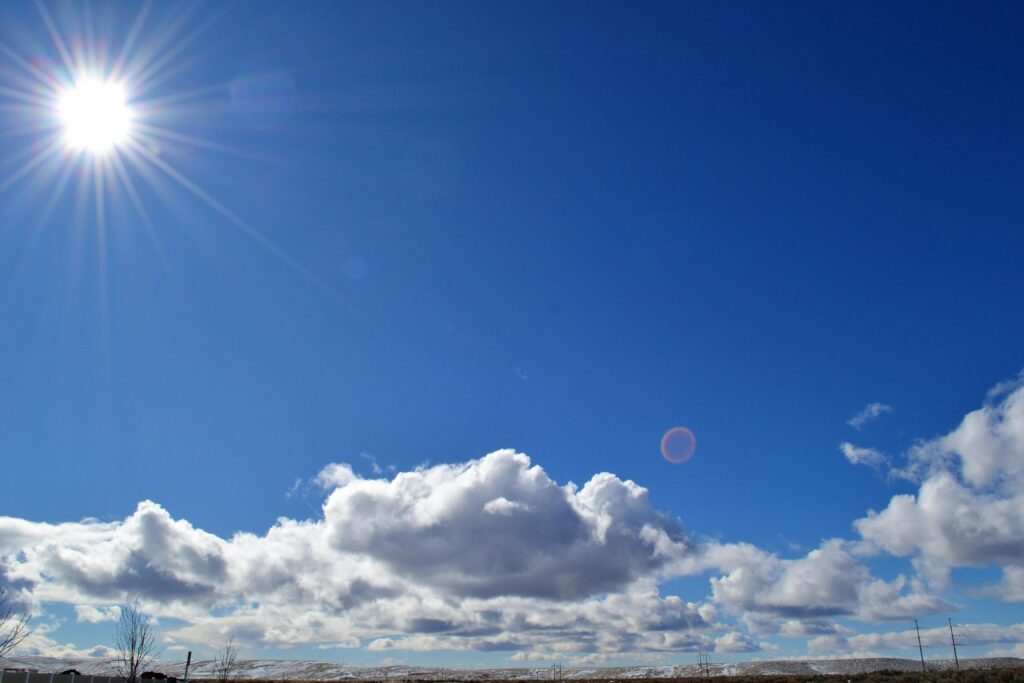 Quando o sol está muito forte não cometa o erro de regar a planta nesse momento, pois a água irá evaporar com facilidade