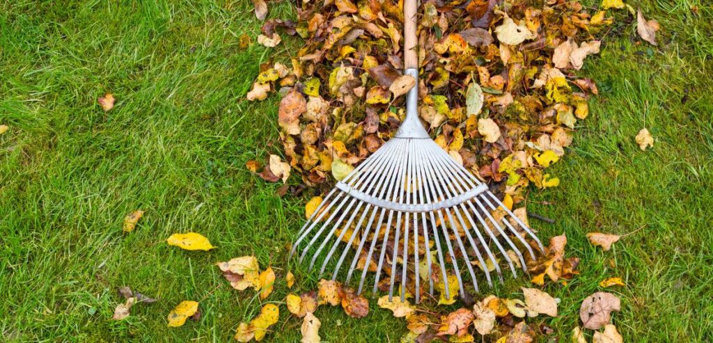 O tipo de fertilizante foliar é essencial para a absorção rápida dos nutrientes pelo solo