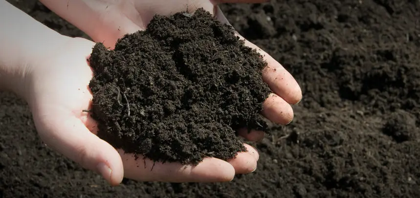 Os fertilizantes organicos são essenciais para enriquecer o solo de forma sustentável