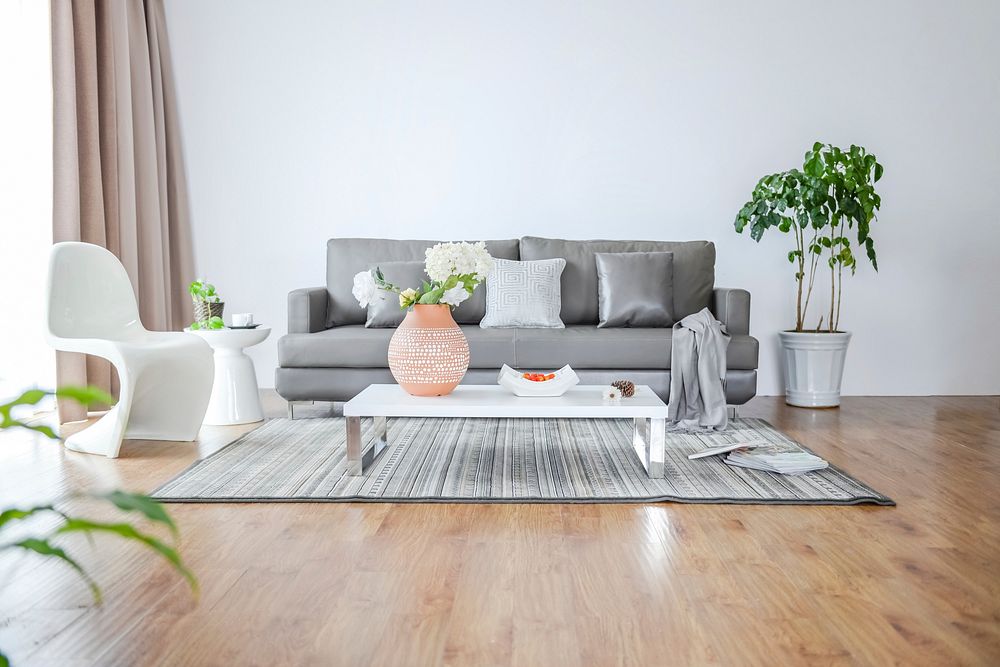 Nesse artigo voce irá conhecer as melhores plantas para sala de estar, podendo transformar o ambiente com o verde