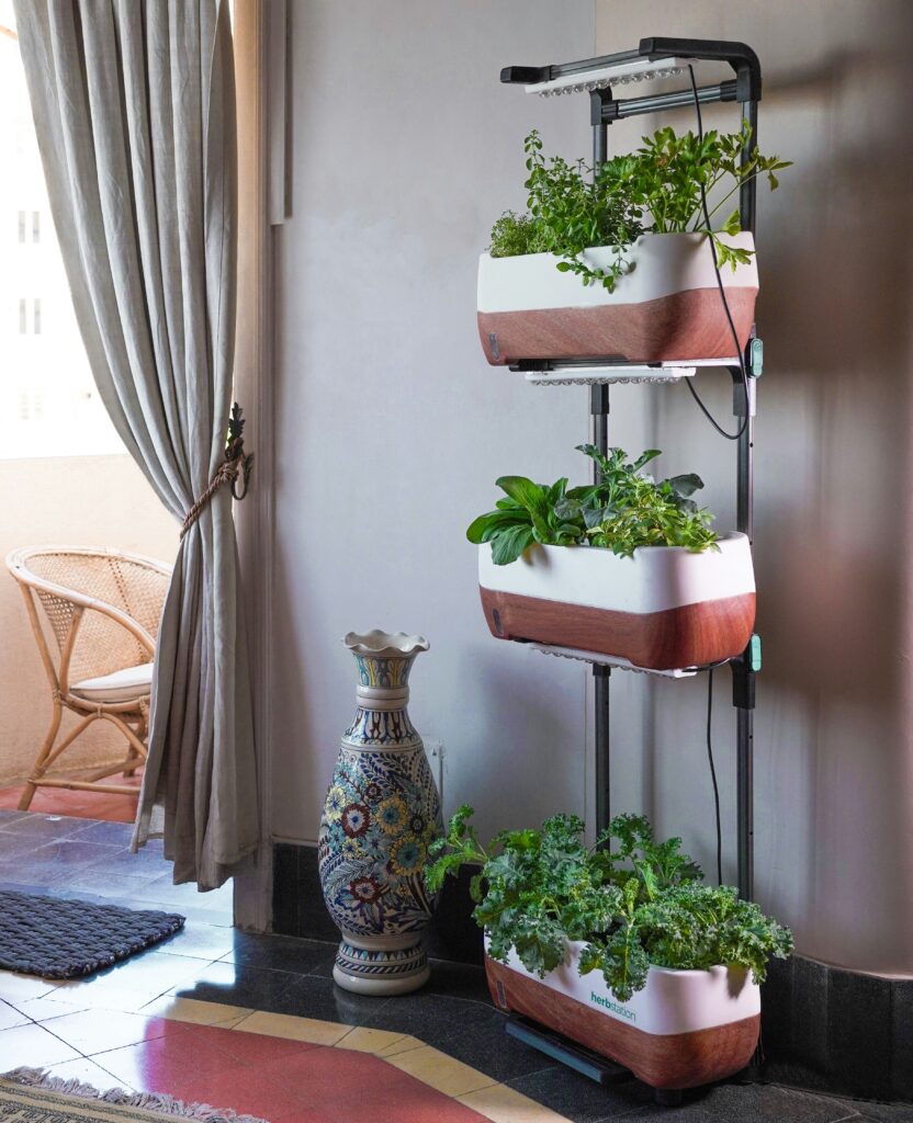 Nesse artigo voce irá aprender a como montar um jardim vertical para transformar a parede do seu ambiente