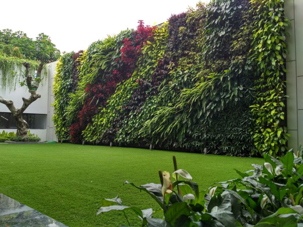 escolher um local ideal é importante para montar um jardim vertical