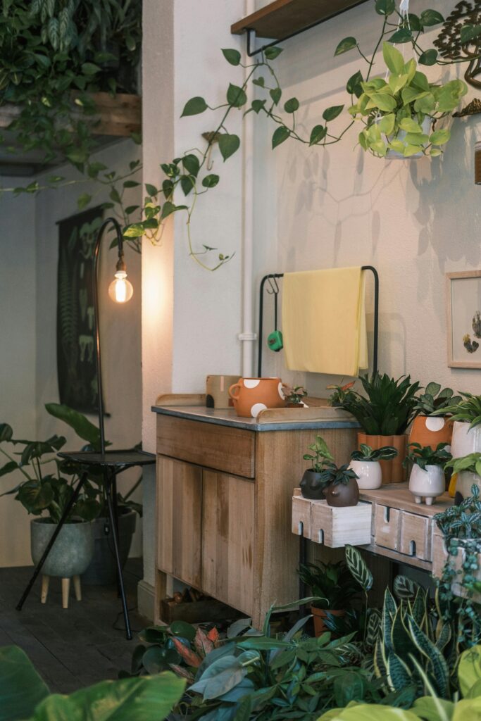 Descubra agora as plantas que espantam insetos de sua casa de forma natural